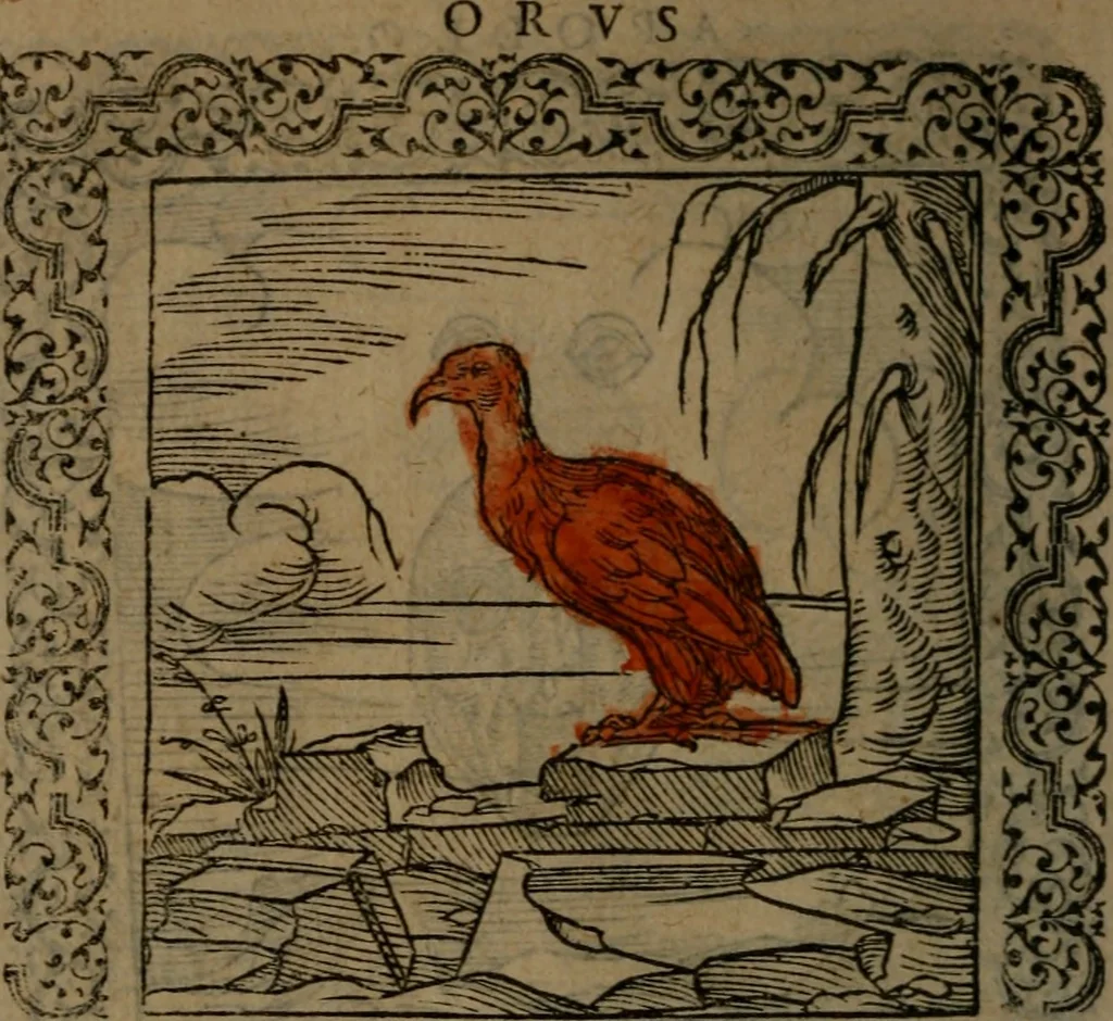 An illustration from Ori Apollinis Niliaci, De sacris Aegyptiorum notis, Aegyptiacè expressis : libri duo, iconibus illustrati, & aucti : nunc primùm in latinum ac gallicum sermonem conversi, 1574, leaf 223