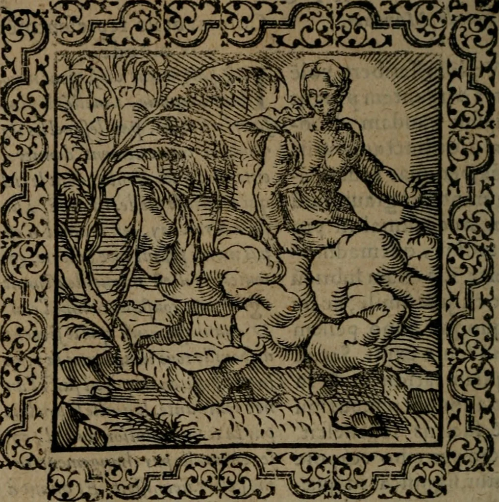 An illustration from Ori Apollinis Niliaci, De sacris Aegyptiorum notis, Aegyptiacè expressis : libri duo, iconibus illustrati, & aucti : nunc primùm in latinum ac gallicum sermonem conversi, 1574, leaf 23