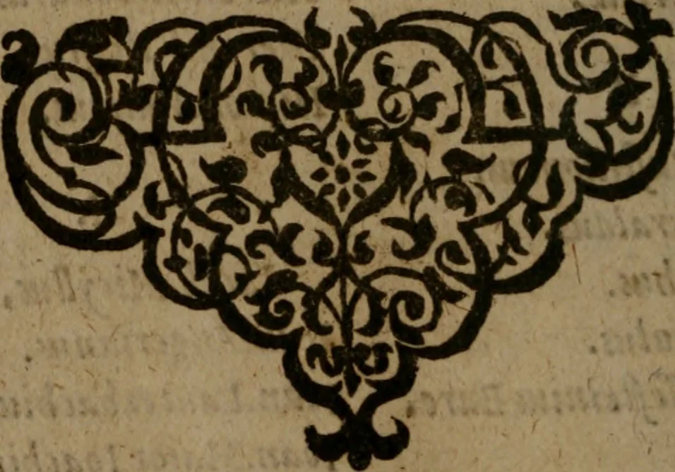 An illustration from Ori Apollinis Niliaci, De sacris Aegyptiorum notis, Aegyptiacè expressis : libri duo, iconibus illustrati, & aucti : nunc primùm in latinum ac gallicum sermonem conversi, 1574, leaf 237