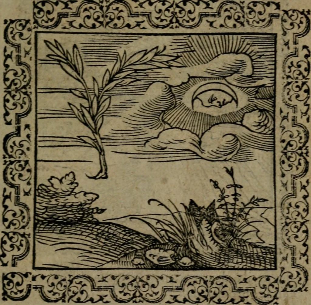 An illustration from Ori Apollinis Niliaci, De sacris Aegyptiorum notis, Aegyptiacè expressis : libri duo, iconibus illustrati, & aucti : nunc primùm in latinum ac gallicum sermonem conversi, 1574, leaf 24