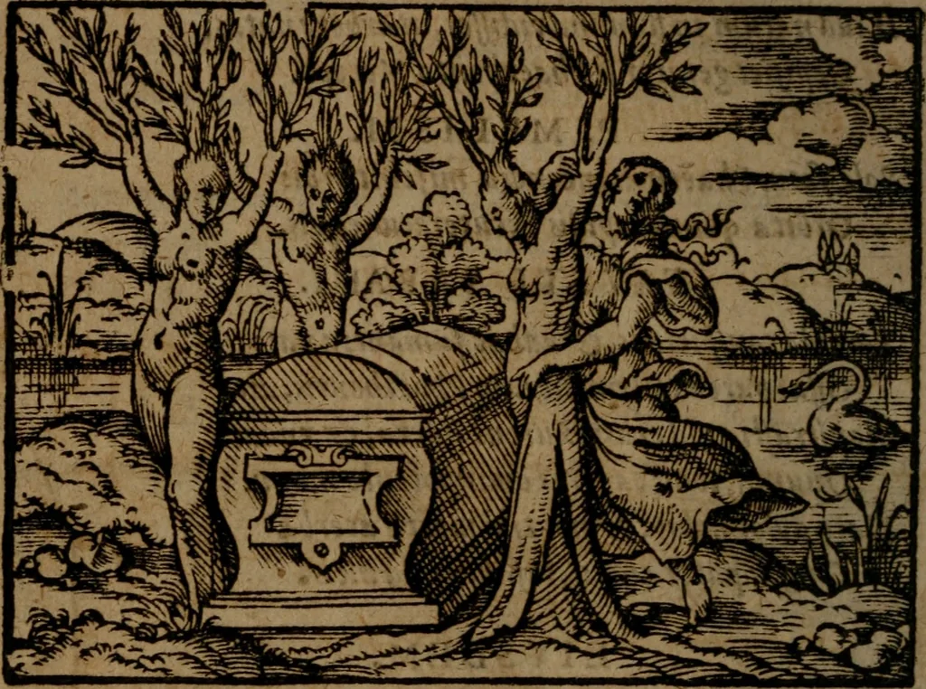 An illustration from Ori Apollinis Niliaci, De sacris Aegyptiorum notis, Aegyptiacè expressis : libri duo, iconibus illustrati, & aucti : nunc primùm in latinum ac gallicum sermonem conversi, 1574, leaf 267