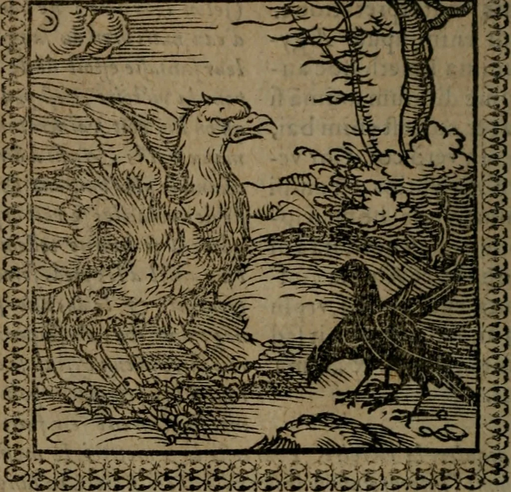 An illustration from Ori Apollinis Niliaci, De sacris Aegyptiorum notis, Aegyptiacè expressis : libri duo, iconibus illustrati, & aucti : nunc primùm in latinum ac gallicum sermonem conversi, 1574, leaf 29