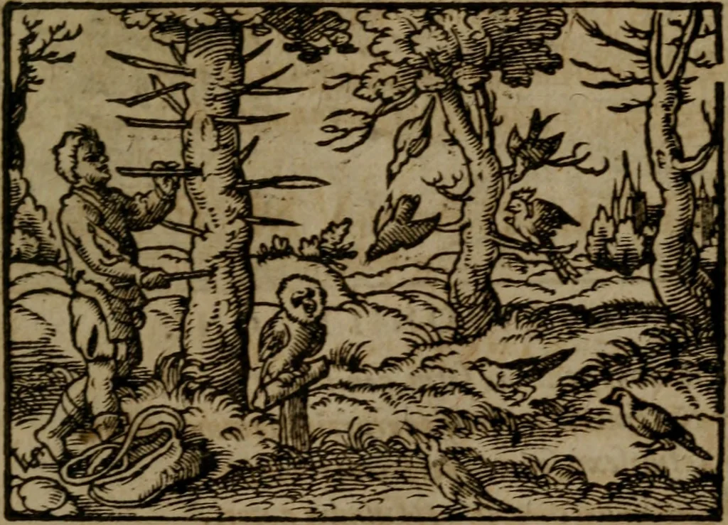 An illustration from Ori Apollinis Niliaci, De sacris Aegyptiorum notis, Aegyptiacè expressis : libri duo, iconibus illustrati, & aucti : nunc primùm in latinum ac gallicum sermonem conversi, 1574, leaf 292