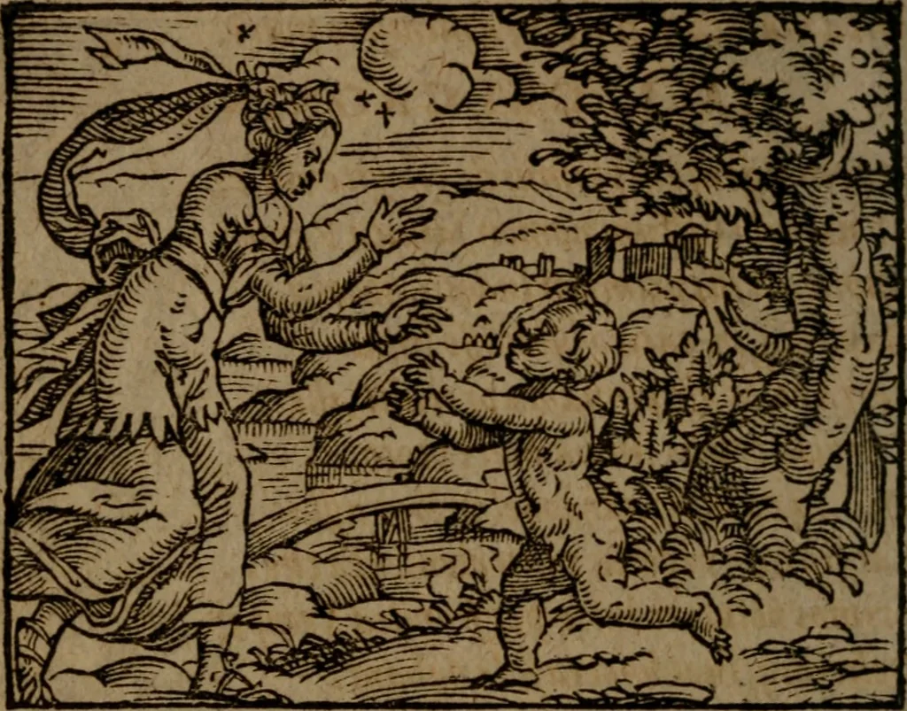An illustration from Ori Apollinis Niliaci, De sacris Aegyptiorum notis, Aegyptiacè expressis : libri duo, iconibus illustrati, & aucti : nunc primùm in latinum ac gallicum sermonem conversi, 1574, leaf 307