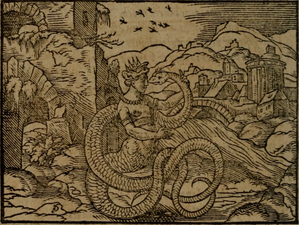 An illustration from Ori Apollinis Niliaci, De sacris Aegyptiorum notis, Aegyptiacè expressis : libri duo, iconibus illustrati, & aucti : nunc primùm in latinum ac gallicum sermonem conversi, 1574, leaf 309