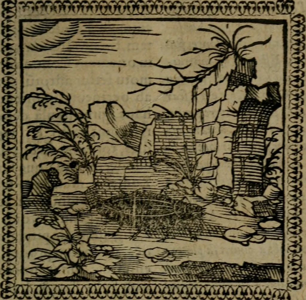 An illustration from Ori Apollinis Niliaci, De sacris Aegyptiorum notis, Aegyptiacè expressis : libri duo, iconibus illustrati, & aucti : nunc primùm in latinum ac gallicum sermonem conversi, 1574, leaf 32