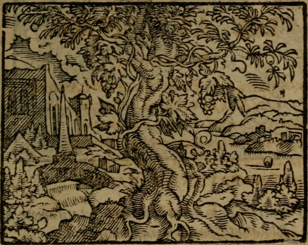 An illustration from Ori Apollinis Niliaci, De sacris Aegyptiorum notis, Aegyptiacè expressis : libri duo, iconibus illustrati, & aucti : nunc primùm in latinum ac gallicum sermonem conversi, 1574, leaf 332