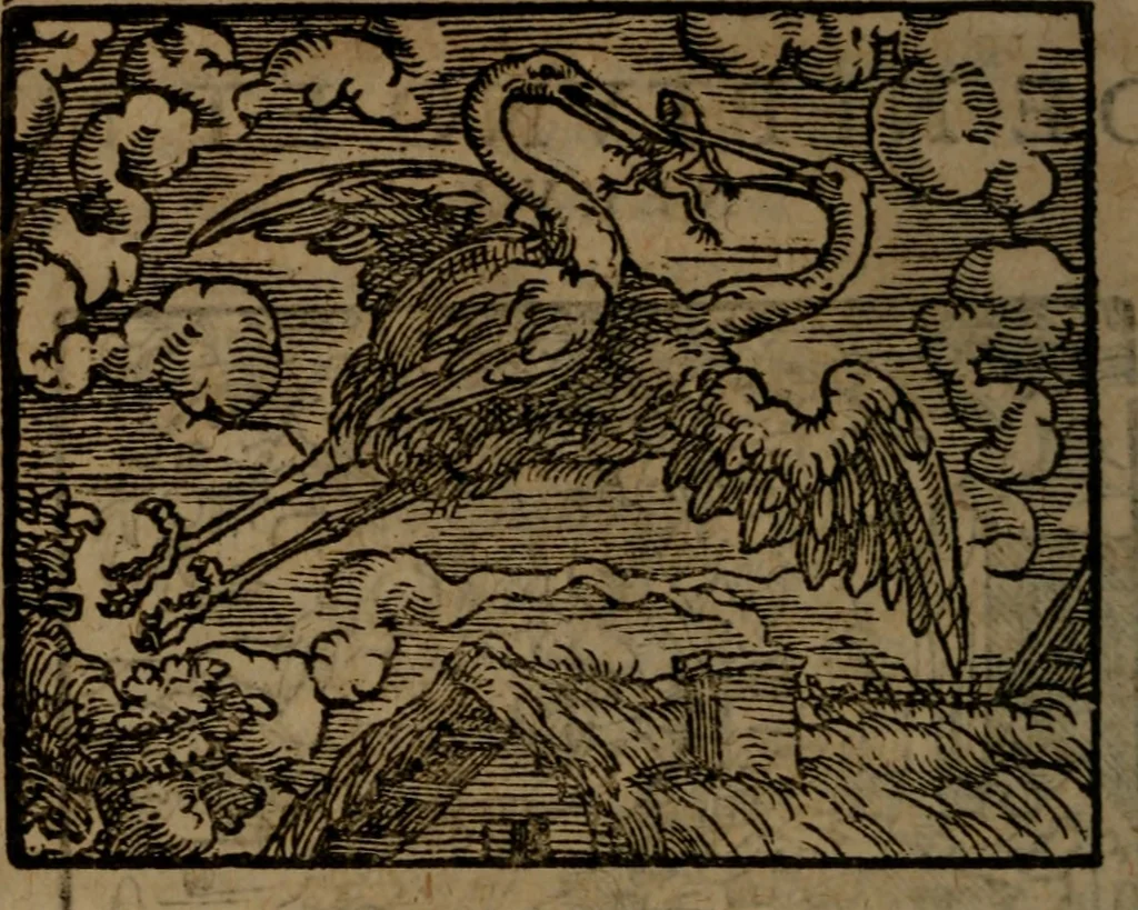 An illustration from Ori Apollinis Niliaci, De sacris Aegyptiorum notis, Aegyptiacè expressis : libri duo, iconibus illustrati, & aucti : nunc primùm in latinum ac gallicum sermonem conversi, 1574, leaf 333