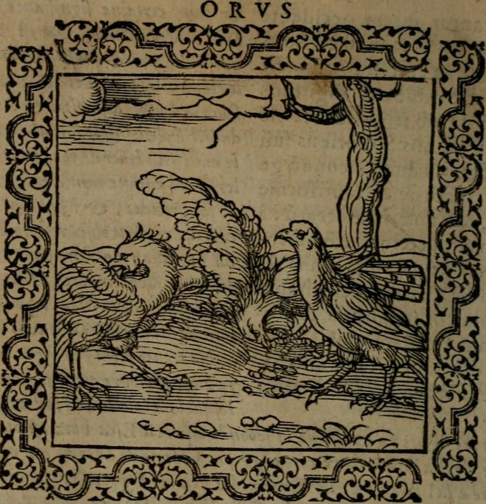 An illustration from Ori Apollinis Niliaci, De sacris Aegyptiorum notis, Aegyptiacè expressis : libri duo, iconibus illustrati, & aucti : nunc primùm in latinum ac gallicum sermonem conversi, 1574, leaf 35