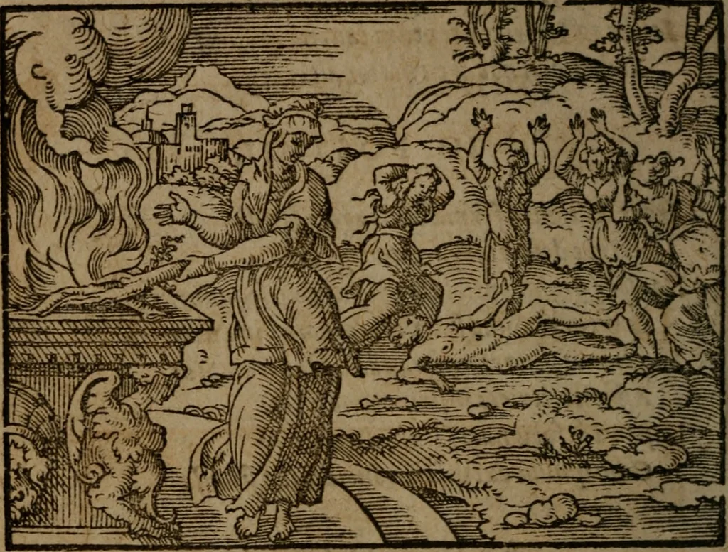 An illustration from Ori Apollinis Niliaci, De sacris Aegyptiorum notis, Aegyptiacè expressis : libri duo, iconibus illustrati, & aucti : nunc primùm in latinum ac gallicum sermonem conversi, 1574, leaf 383