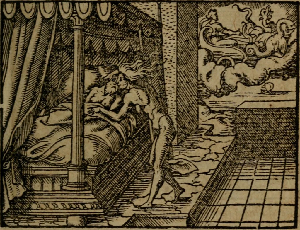 An illustration from Ori Apollinis Niliaci, De sacris Aegyptiorum notis, Aegyptiacè expressis : libri duo, iconibus illustrati, & aucti : nunc primùm in latinum ac gallicum sermonem conversi, 1574, leaf 390