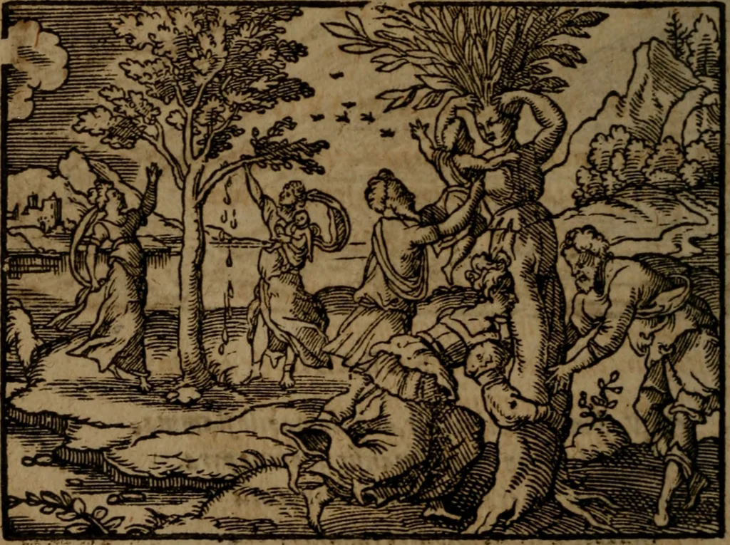 An illustration from Ori Apollinis Niliaci, De sacris Aegyptiorum notis, Aegyptiacè expressis : libri duo, iconibus illustrati, & aucti : nunc primùm in latinum ac gallicum sermonem conversi, 1574, leaf 407