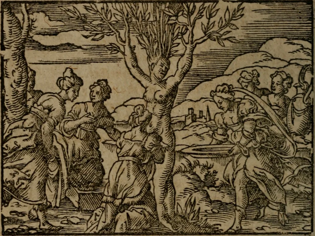 An illustration from Ori Apollinis Niliaci, De sacris Aegyptiorum notis, Aegyptiacè expressis : libri duo, iconibus illustrati, & aucti : nunc primùm in latinum ac gallicum sermonem conversi, 1574, leaf 419
