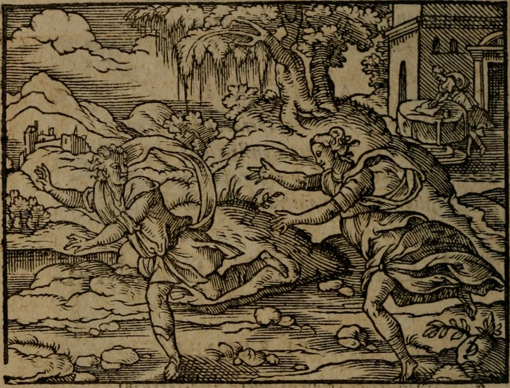 An illustration from Ori Apollinis Niliaci, De sacris Aegyptiorum notis, Aegyptiacè expressis : libri duo, iconibus illustrati, & aucti : nunc primùm in latinum ac gallicum sermonem conversi, 1574, leaf 423