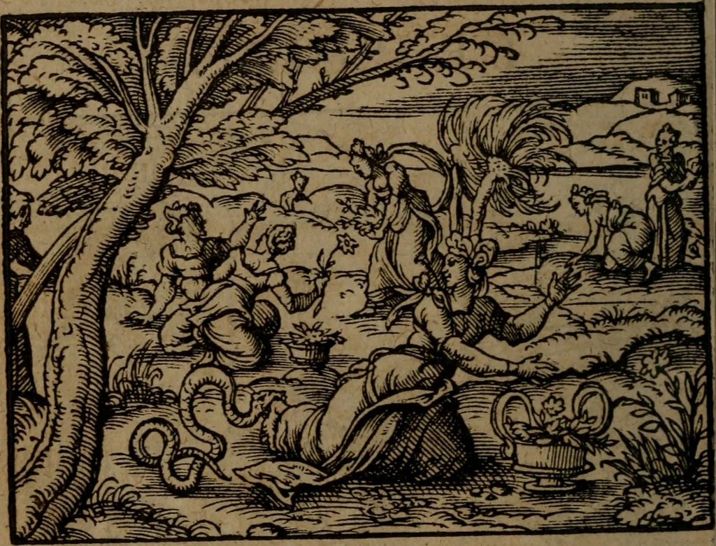 An illustration from Ori Apollinis Niliaci, De sacris Aegyptiorum notis, Aegyptiacè expressis : libri duo, iconibus illustrati, & aucti : nunc primùm in latinum ac gallicum sermonem conversi, 1574, leaf 429