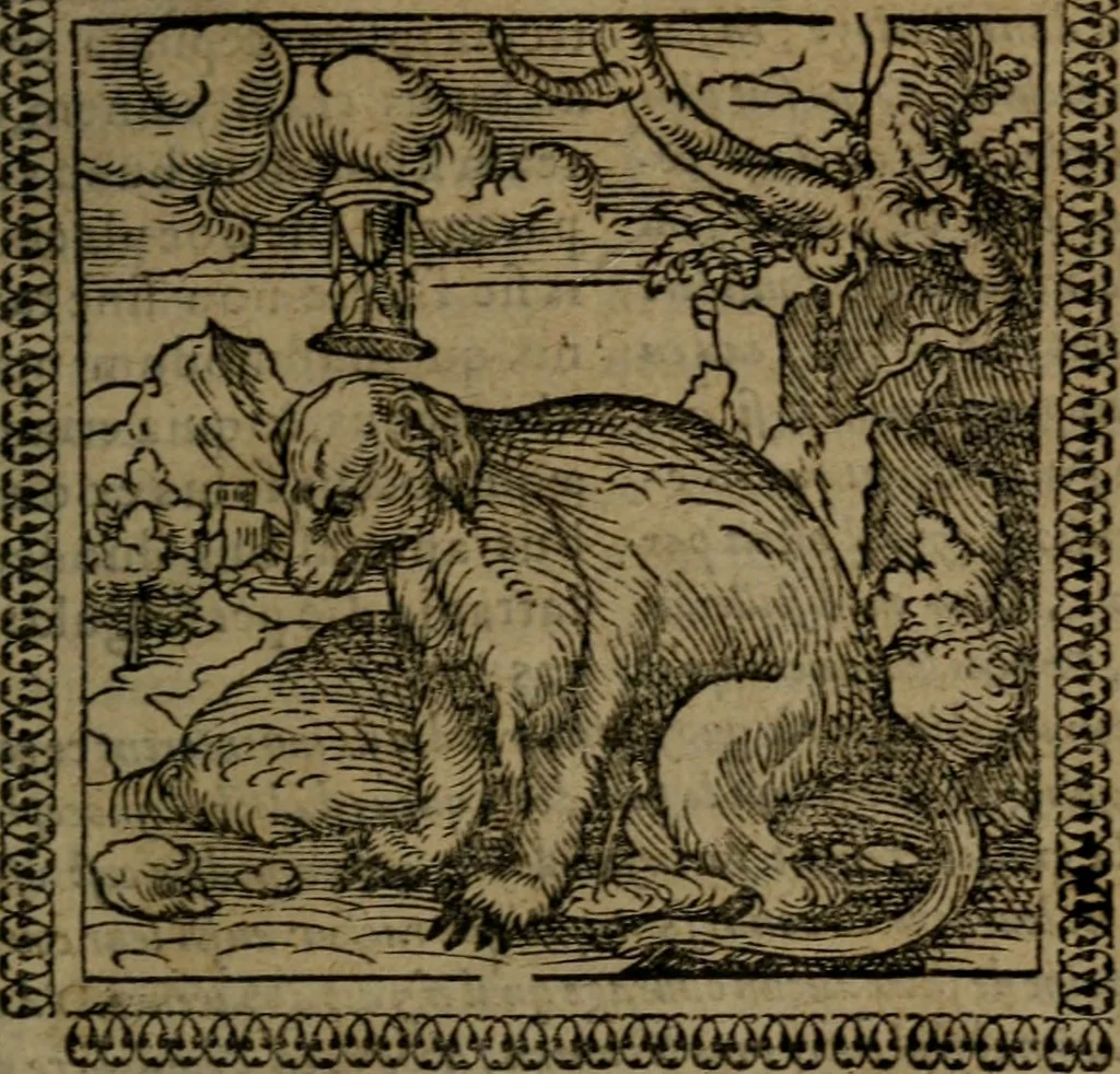 An illustration from Ori Apollinis Niliaci, De sacris Aegyptiorum notis, Aegyptiacè expressis : libri duo, iconibus illustrati, & aucti : nunc primùm in latinum ac gallicum sermonem conversi, 1574, leaf 44