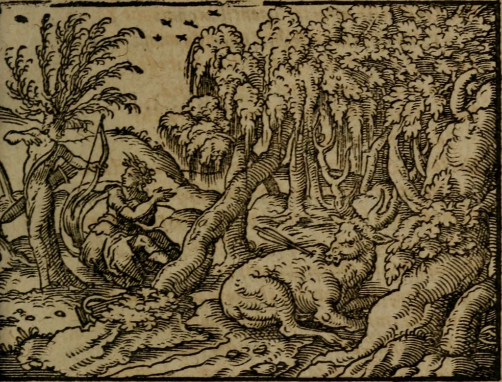 An illustration from Ori Apollinis Niliaci, De sacris Aegyptiorum notis, Aegyptiacè expressis : libri duo, iconibus illustrati, & aucti : nunc primùm in latinum ac gallicum sermonem conversi, 1574, leaf 444