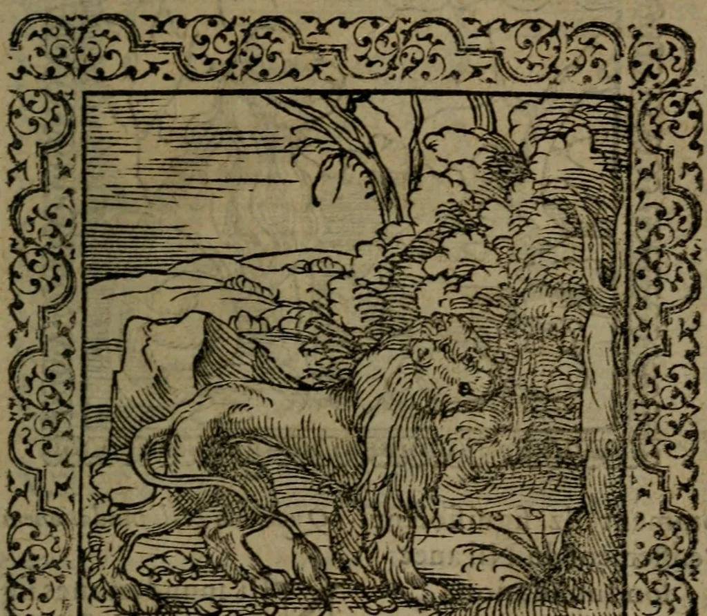 An illustration from Ori Apollinis Niliaci, De sacris Aegyptiorum notis, Aegyptiacè expressis : libri duo, iconibus illustrati, & aucti : nunc primùm in latinum ac gallicum sermonem conversi, 1574, leaf 48