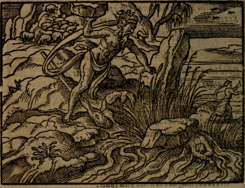An illustration from Ori Apollinis Niliaci, De sacris Aegyptiorum notis, Aegyptiacè expressis : libri duo, iconibus illustrati, & aucti : nunc primùm in latinum ac gallicum sermonem conversi, 1574, leaf 495