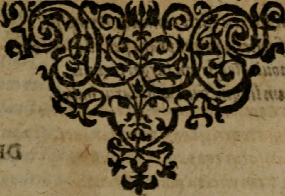 An illustration from Ori Apollinis Niliaci, De sacris Aegyptiorum notis, Aegyptiacè expressis : libri duo, iconibus illustrati, & aucti : nunc primùm in latinum ac gallicum sermonem conversi, 1574, leaf 508