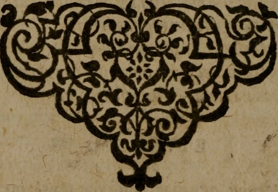 An illustration from Ori Apollinis Niliaci, De sacris Aegyptiorum notis, Aegyptiacè expressis : libri duo, iconibus illustrati, & aucti : nunc primùm in latinum ac gallicum sermonem conversi, 1574, leaf 517