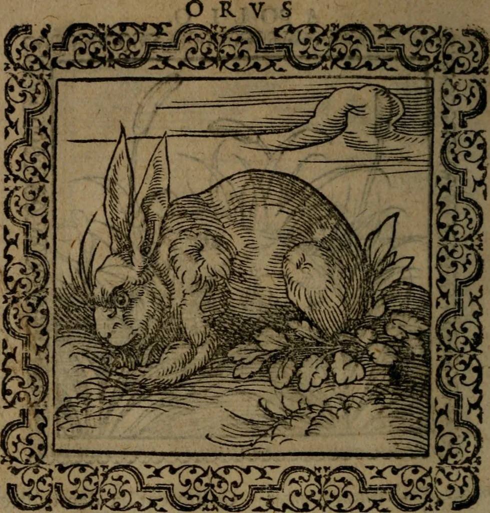 An illustration from Ori Apollinis Niliaci, De sacris Aegyptiorum notis, Aegyptiacè expressis : libri duo, iconibus illustrati, & aucti : nunc primùm in latinum ac gallicum sermonem conversi, 1574, leaf 53