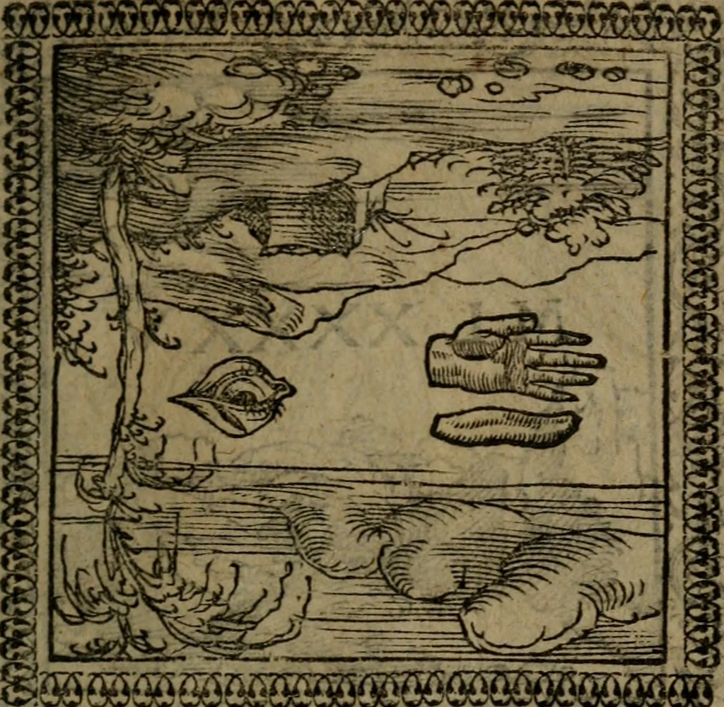 An illustration from Ori Apollinis Niliaci, De sacris Aegyptiorum notis, Aegyptiacè expressis : libri duo, iconibus illustrati, & aucti : nunc primùm in latinum ac gallicum sermonem conversi, 1574, leaf 54