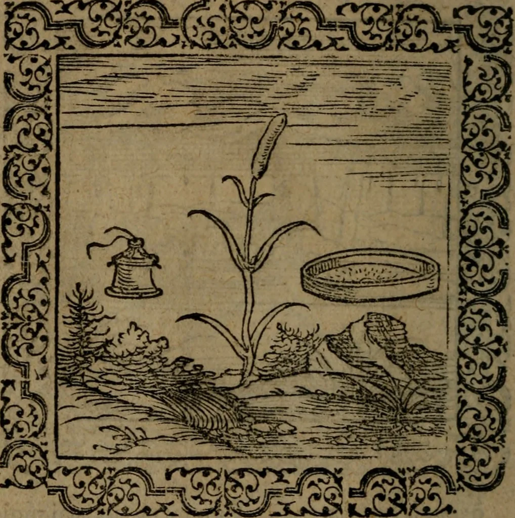 An illustration from Ori Apollinis Niliaci, De sacris Aegyptiorum notis, Aegyptiacè expressis : libri duo, iconibus illustrati, & aucti : nunc primùm in latinum ac gallicum sermonem conversi, 1574, leaf 65