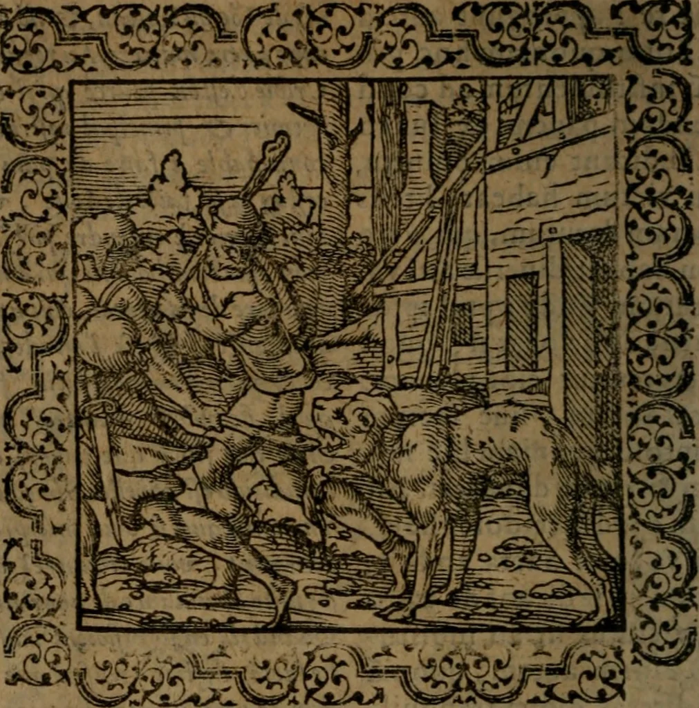 An illustration from Ori Apollinis Niliaci, De sacris Aegyptiorum notis, Aegyptiacè expressis : libri duo, iconibus illustrati, & aucti : nunc primùm in latinum ac gallicum sermonem conversi, 1574, leaf 67