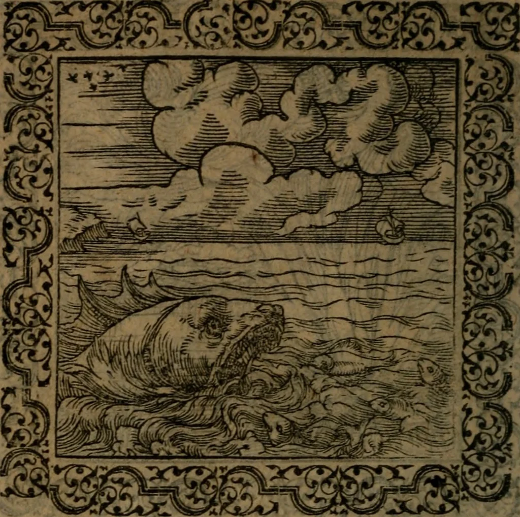 An illustration from Ori Apollinis Niliaci, De sacris Aegyptiorum notis, Aegyptiacè expressis : libri duo, iconibus illustrati, & aucti : nunc primùm in latinum ac gallicum sermonem conversi, 1574, leaf 73