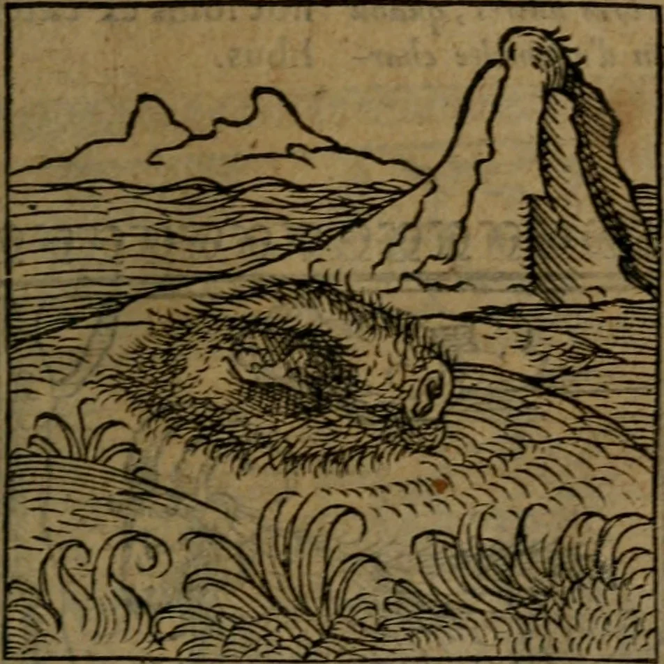 An illustration from Ori Apollinis Niliaci, De sacris Aegyptiorum notis, Aegyptiacè expressis : libri duo, iconibus illustrati, & aucti : nunc primùm in latinum ac gallicum sermonem conversi, 1574, leaf 76