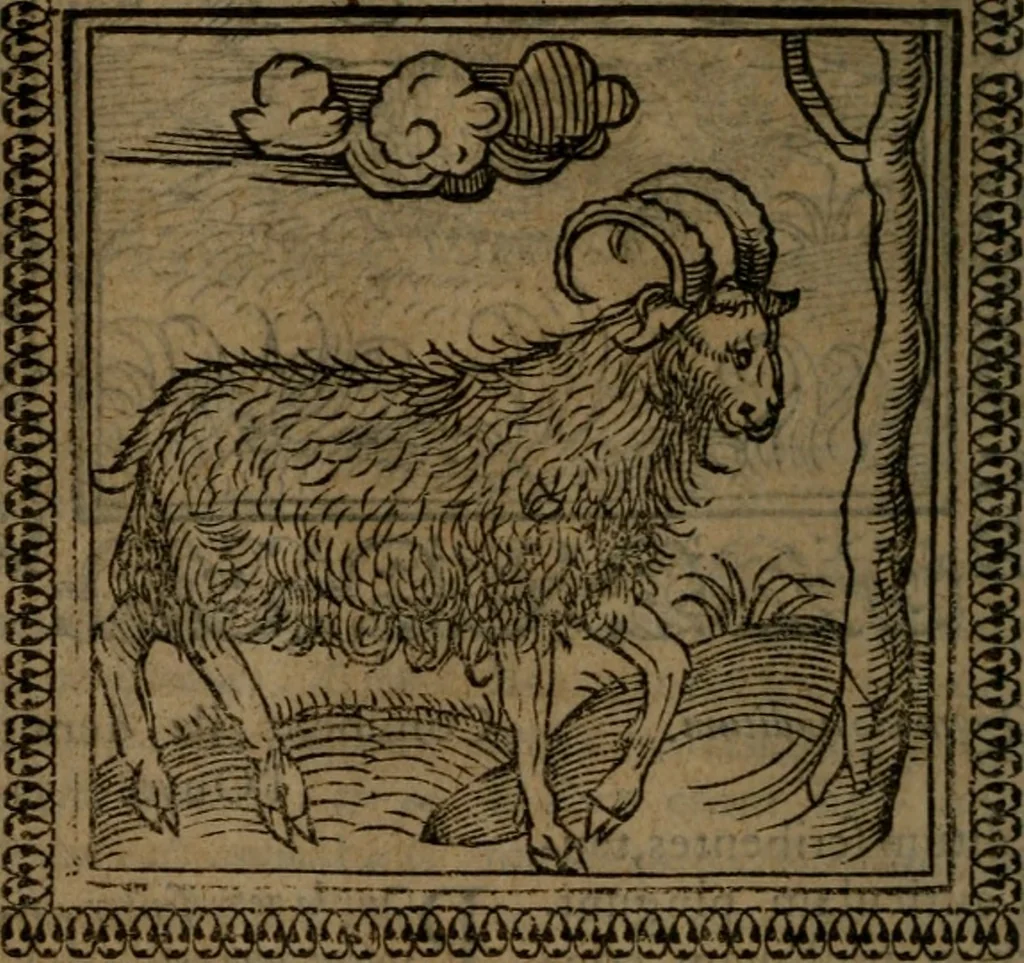 An illustration from Ori Apollinis Niliaci, De sacris Aegyptiorum notis, Aegyptiacè expressis : libri duo, iconibus illustrati, & aucti : nunc primùm in latinum ac gallicum sermonem conversi, 1574, leaf 77