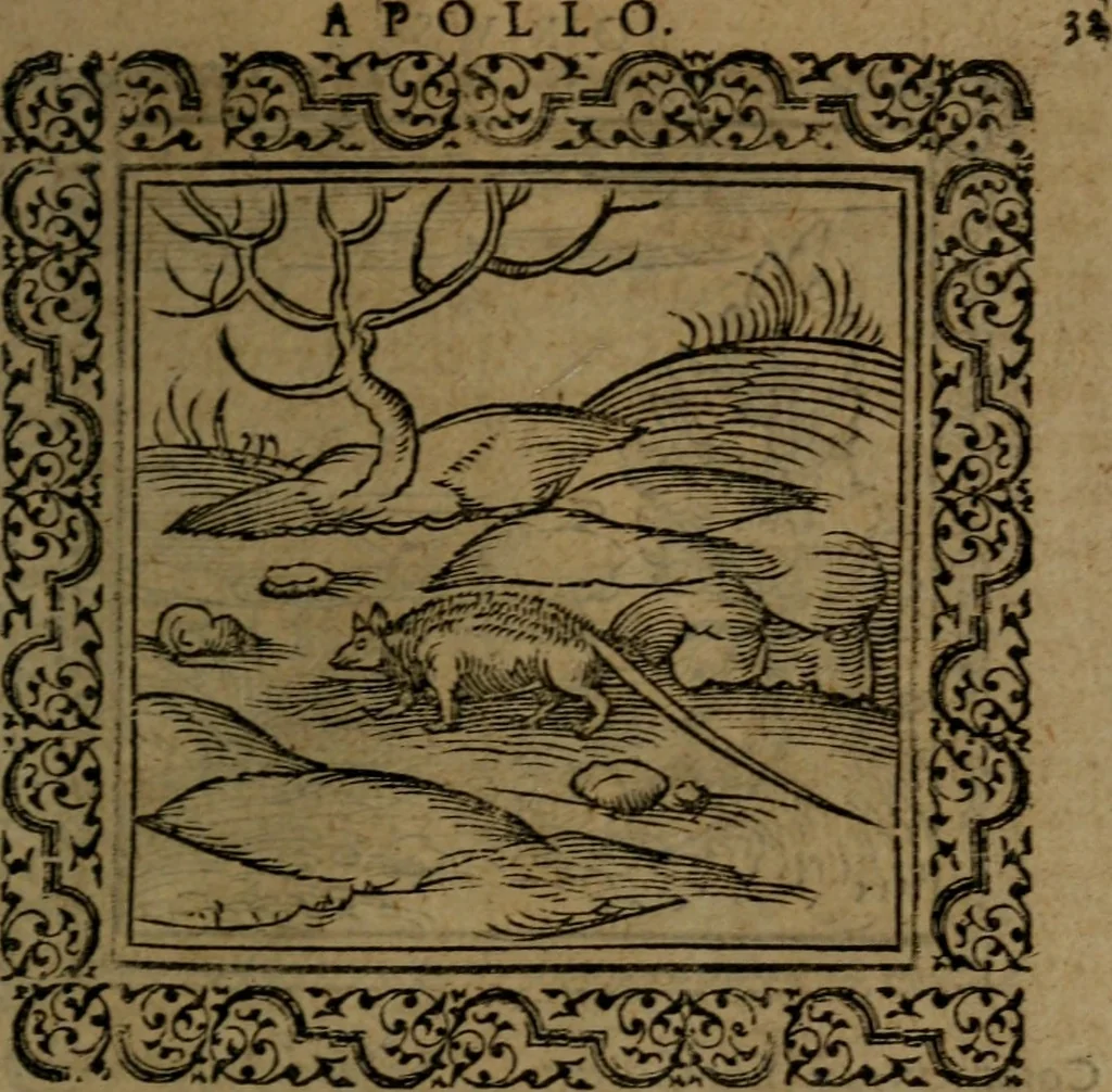 An illustration from Ori Apollinis Niliaci, De sacris Aegyptiorum notis, Aegyptiacè expressis : libri duo, iconibus illustrati, & aucti : nunc primùm in latinum ac gallicum sermonem conversi, 1574, leaf 80
