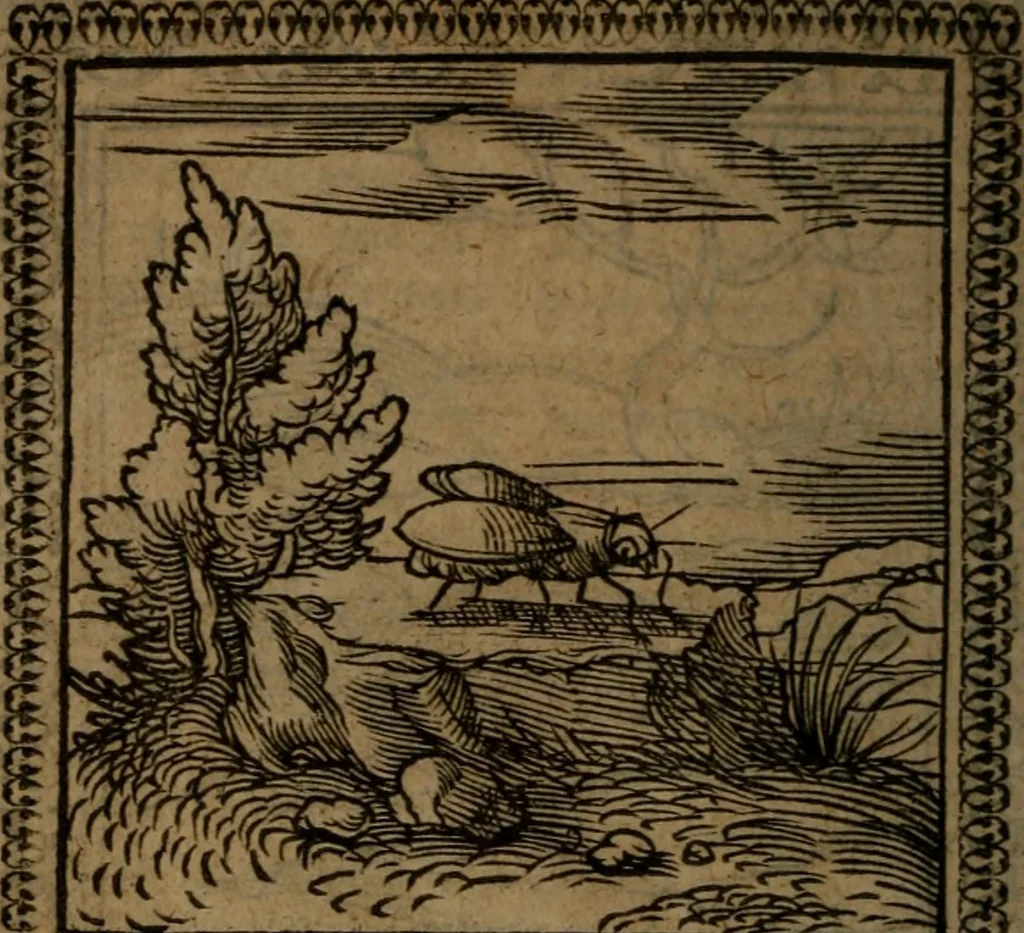 An illustration from Ori Apollinis Niliaci, De sacris Aegyptiorum notis, Aegyptiacè expressis : libri duo, iconibus illustrati, & aucti : nunc primùm in latinum ac gallicum sermonem conversi, 1574, leaf 81