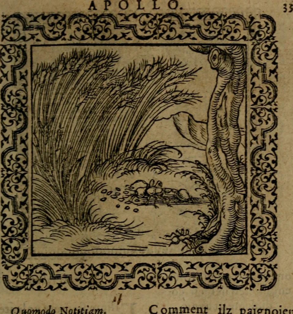 An illustration from Ori Apollinis Niliaci, De sacris Aegyptiorum notis, Aegyptiacè expressis : libri duo, iconibus illustrati, & aucti : nunc primùm in latinum ac gallicum sermonem conversi, 1574, leaf 82