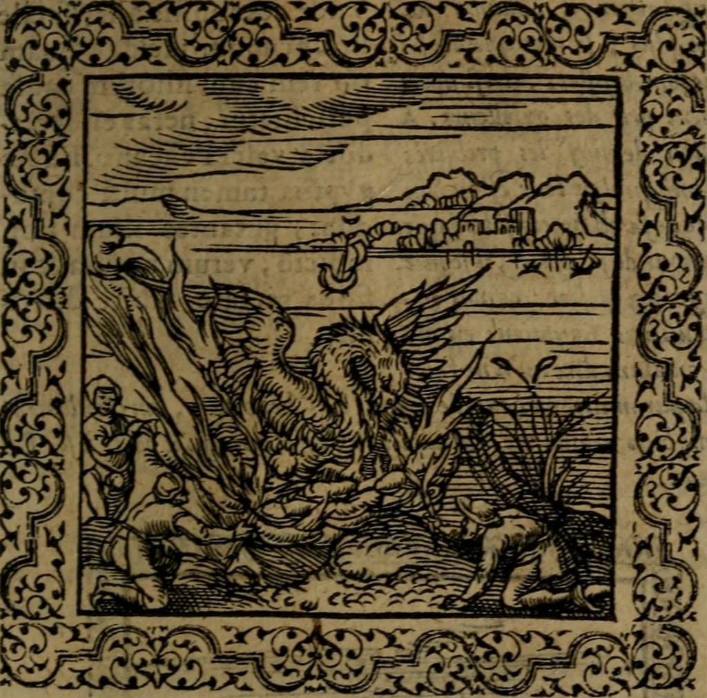 An illustration from Ori Apollinis Niliaci, De sacris Aegyptiorum notis, Aegyptiacè expressis : libri duo, iconibus illustrati, & aucti : nunc primùm in latinum ac gallicum sermonem conversi, 1574, leaf 84