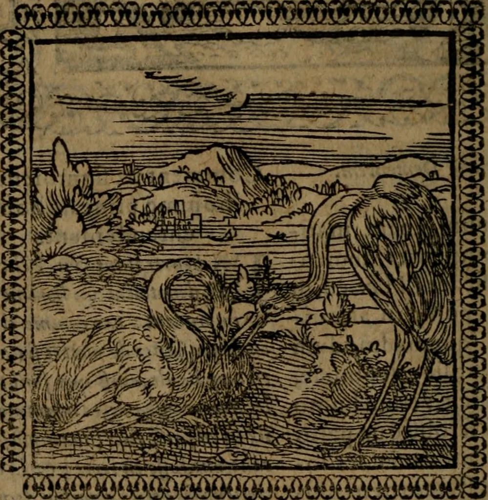 An illustration from Ori Apollinis Niliaci, De sacris Aegyptiorum notis, Aegyptiacè expressis : libri duo, iconibus illustrati, & aucti : nunc primùm in latinum ac gallicum sermonem conversi, 1574, leaf 85