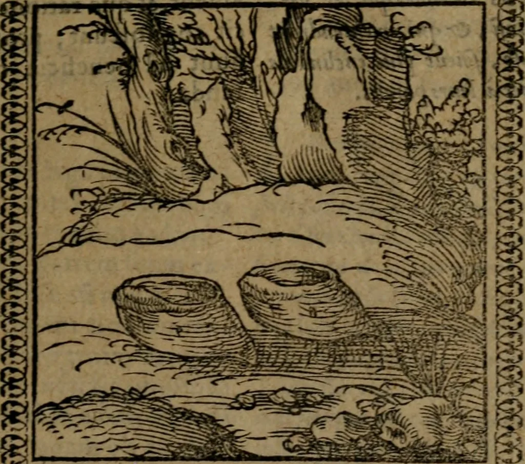 An illustration from Ori Apollinis Niliaci, De sacris Aegyptiorum notis, Aegyptiacè expressis : libri duo, iconibus illustrati, & aucti : nunc primùm in latinum ac gallicum sermonem conversi, 1574, leaf 86