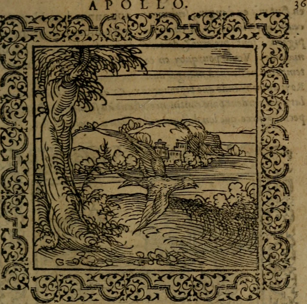 An illustration from Ori Apollinis Niliaci, De sacris Aegyptiorum notis, Aegyptiacè expressis : libri duo, iconibus illustrati, & aucti : nunc primùm in latinum ac gallicum sermonem conversi, 1574, leaf 88