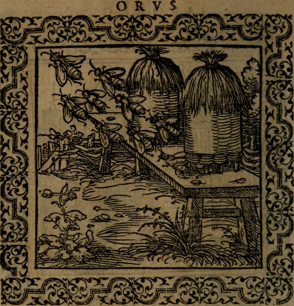 An illustration from Ori Apollinis Niliaci, De sacris Aegyptiorum notis, Aegyptiacè expressis : libri duo, iconibus illustrati, & aucti : nunc primùm in latinum ac gallicum sermonem conversi, 1574, leaf 93