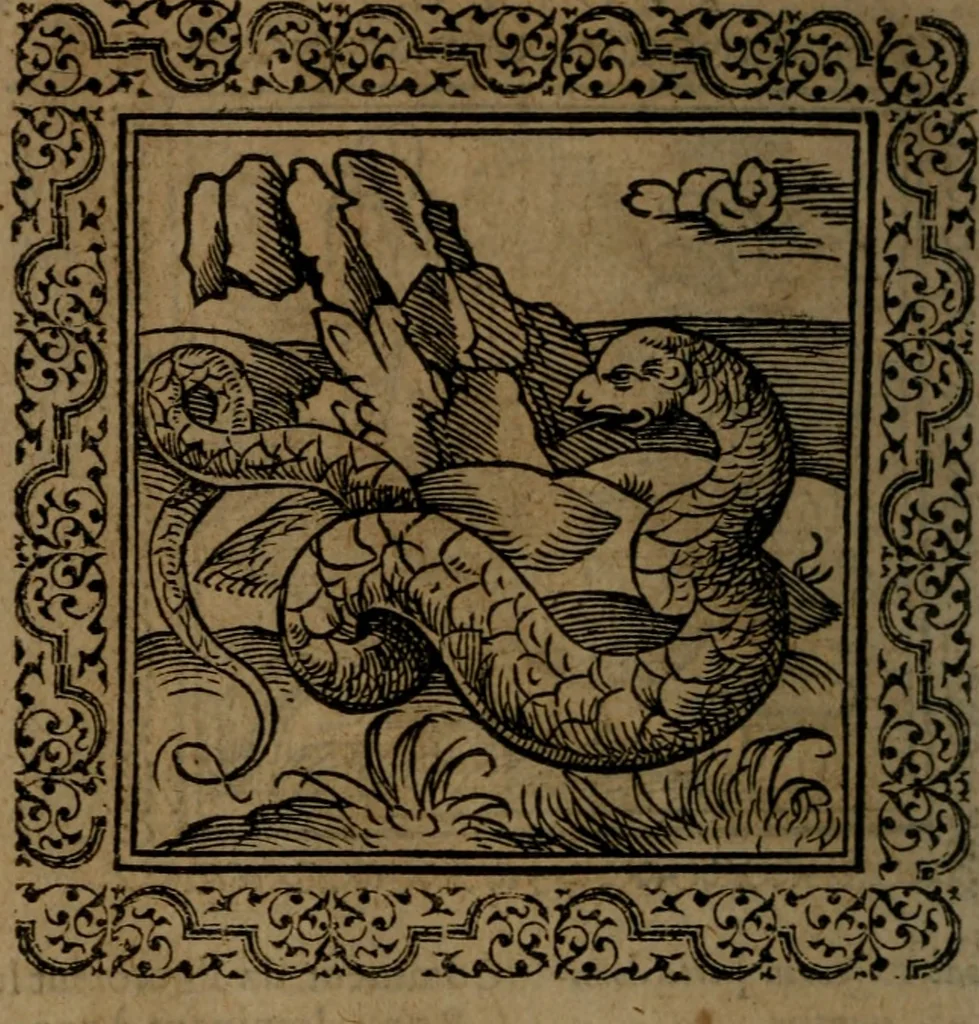 An illustration from Ori Apollinis Niliaci, De sacris Aegyptiorum notis, Aegyptiacè expressis : libri duo, iconibus illustrati, & aucti : nunc primùm in latinum ac gallicum sermonem conversi, 1574, leaf 95