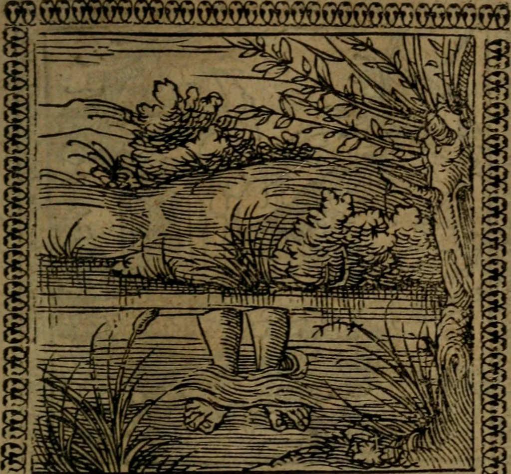 An illustration from Ori Apollinis Niliaci, De sacris Aegyptiorum notis, Aegyptiacè expressis : libri duo, iconibus illustrati, & aucti : nunc primùm in latinum ac gallicum sermonem conversi, 1574, leaf 96