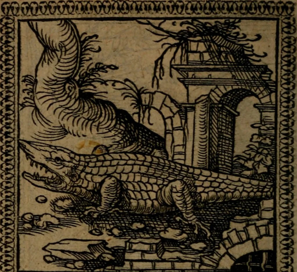 An illustration from Ori Apollinis Niliaci, De sacris Aegyptiorum notis, Aegyptiacè expressis : libri duo, iconibus illustrati, & aucti : nunc primùm in latinum ac gallicum sermonem conversi, 1574, leaf 97