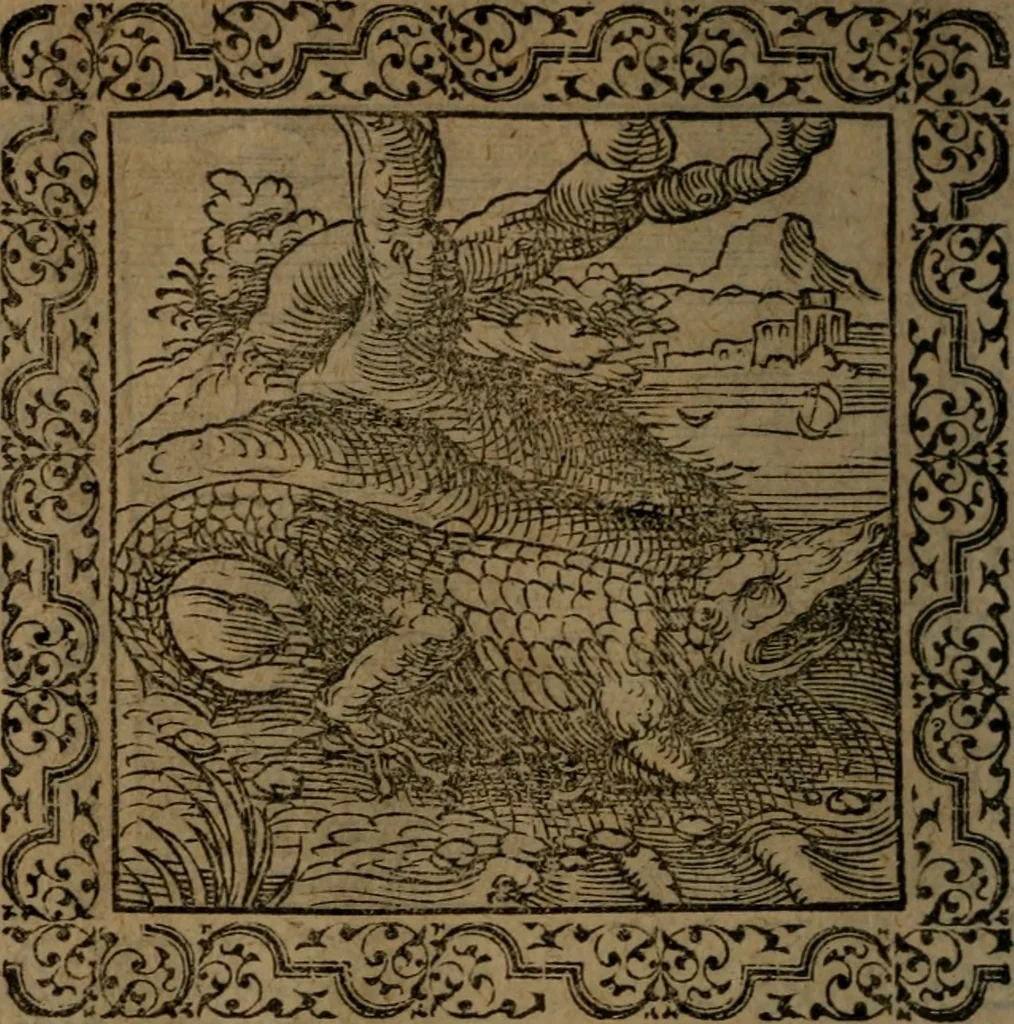 An illustration from Ori Apollinis Niliaci, De sacris Aegyptiorum notis, Aegyptiacè expressis : libri duo, iconibus illustrati, & aucti : nunc primùm in latinum ac gallicum sermonem conversi, 1574, leaf 99
