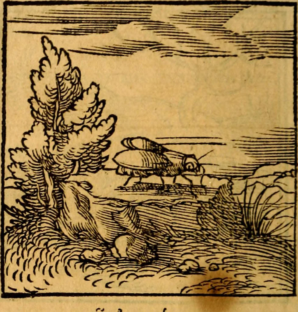 An illustration from Ori Apollonis Niliaci, de sacris notis & sculpturis libri duo, vbi ad fidem vetudti codicis manu scripti restituta sunt loca permulta, corrupta ante ac deplorata, 1551, leaf 101