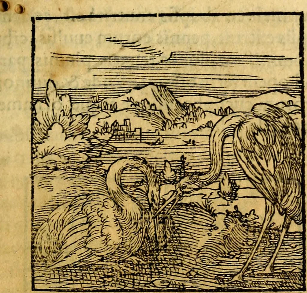 An illustration from Ori Apollonis Niliaci, de sacris notis & sculpturis libri duo, vbi ad fidem vetudti codicis manu scripti restituta sunt loca permulta, corrupta ante ac deplorata, 1551, leaf 106