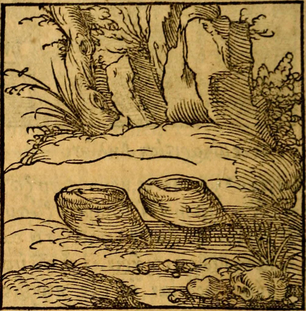 An illustration from Ori Apollonis Niliaci, de sacris notis & sculpturis libri duo, vbi ad fidem vetudti codicis manu scripti restituta sunt loca permulta, corrupta ante ac deplorata, 1551, leaf 107