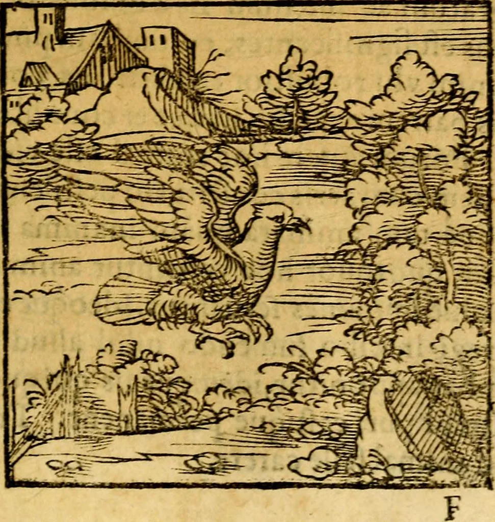 An illustration from Ori Apollonis Niliaci, de sacris notis & sculpturis libri duo, vbi ad fidem vetudti codicis manu scripti restituta sunt loca permulta, corrupta ante ac deplorata, 1551, leaf 108