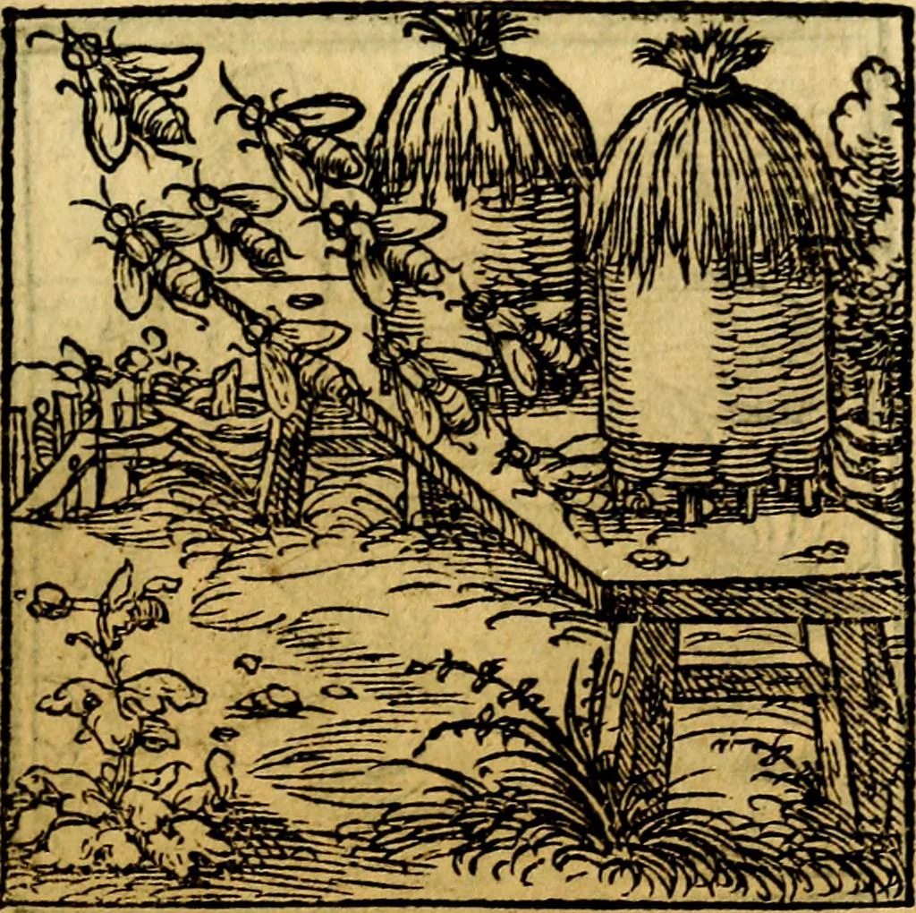 An illustration from Ori Apollonis Niliaci, de sacris notis & sculpturis libri duo, vbi ad fidem vetudti codicis manu scripti restituta sunt loca permulta, corrupta ante ac deplorata, 1551, leaf 114