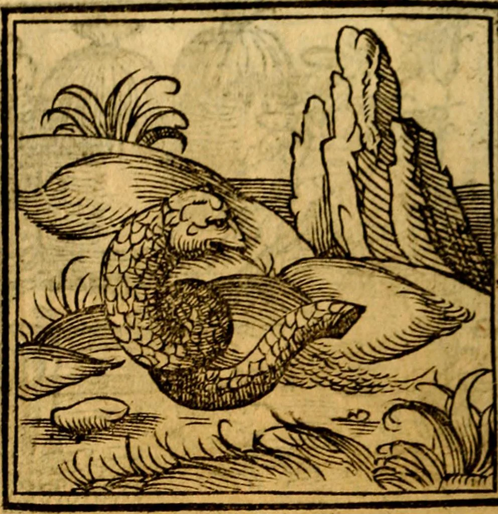 An illustration from Ori Apollonis Niliaci, de sacris notis & sculpturis libri duo, vbi ad fidem vetudti codicis manu scripti restituta sunt loca permulta, corrupta ante ac deplorata, 1551, leaf 115